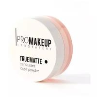 ProMAKEUP Laboratory Пудра рассыпчатая True Matte 1 шт