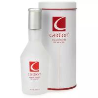 Caldion туалетная вода Caldion For Women, 100 мл