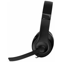 Компьютерная гарнитура SPEEDLINK SL-8755 AUX Stereo Headset