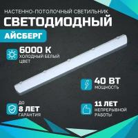 Светодиодный светильник Айсберг 40 Вт, 5000Lm, 6000К, IP65, Опал, настенно-потолочный для промышленных, производственных, офисных и торговых объектов