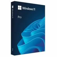 Microsoft Windows 11 Professional 64-bit English Int 1pk DSP OEI DVD лицензия с COA и носителем информации (FQC-10528)