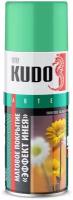Краска KUDO матовое покрытие для стекла Эффект инея, зеленый, матовая, 520 мл, 1 шт
