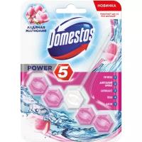 DOMESTOS Блок для очищения унитаза POWER 5 ледяная магнолия 55 гр