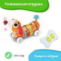 Развивающая игрушка Winfun Собака такса Звуковые и световые эффекты, учимся и играем, радиоуправление