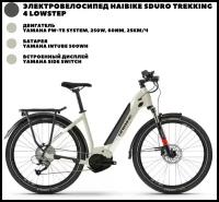 Электровелосипед Haibike (2021) Sduro Trekking 4 LowStep