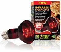 Лампа Exo Terra Infrared Basking Spot для террариума, инфракрасная, 75 Вт