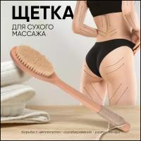 Щетка для сухого массажа, конский волос, овальная, 40х7,5х6 см, VenusShape VS-BRS-09