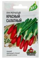 Семена Лук на зелень репчатый Красный салатный, 0,5 г