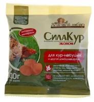 Премикс СилаКур Эконом пакет 300 г, 1 шт