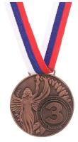 Медаль Ника, 3 место, бронза, d 4,5 см