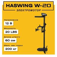 Электромотор haswing w-20