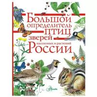 Волцит П.М., Полевод В.А., Пескова И.М. и др. Большой определитель птиц, зверей, насекомых и растений России. -