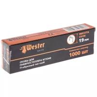 Скобы Wester 826-018 для степлера, 19 мм