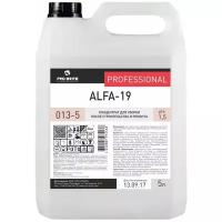 Жидкость Pro-Brite Alfa-19, 5 л, 1шт