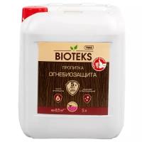 ТЕКС Bioteks Огнебиозащита, 5 л, розовый