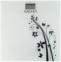 Весы Galaxy GL4800