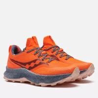 Мужские кроссовки Saucony Endorphin Trail 423077