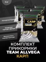 Прикормочная смесь ALLVEGA Team Allvega Carp Карп, 1000 г 5 шт., бежевый