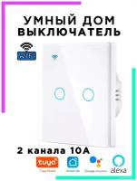 Выключатель на 2 канала Умный дом, с Wi-Fi, сенсорные кнопки (2кн, Wi-Fi, сенсор) OT-HOS12 Орбита