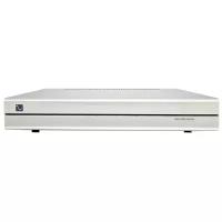 Усилитель мощности стерео PS Audio Stellar S300 Stereo Amplifier, Silver