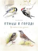 Птицы в городе. Где найти и как узнать