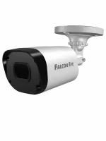 IP камеры Falcon Eye FE-IPC-B2-30p