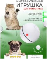 Интерактивная игрушка для кошек/шар для животных USB/мяч для кошки/PetLeon/дразнилка котятам/собаке белый