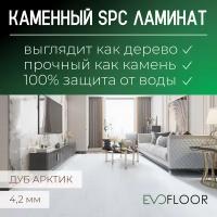 SPC ламинат Evofloor Optima Click - Дуб Арктический