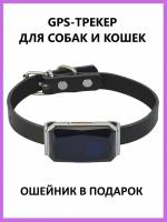 GPS-трекер PetSafety для собак и кошек, Ошейник в подарок!