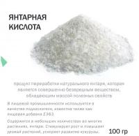 Янтарная кислота - 100 гр