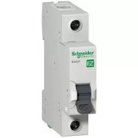 Schneider Electric Автоматический выключатель SE 1g 40A EASY 9 EZ9F34140