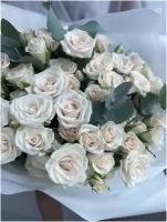 15 кремовых кустовых роз (букет N18)