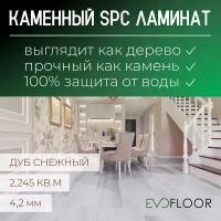 SPC ламинат Evofloor Optima Click - Дуб Снежный