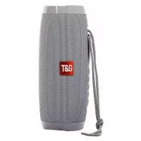 Портативная акустика T&G TG157 CN, 10 Вт, серый