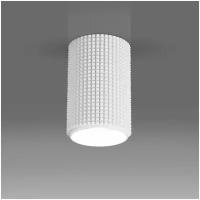 Спот / Накладной потолочный светильник Elektrostandard Spike DLN112, GU10, цвет белый