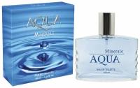 Delta Parfum Aqua Minerale туалетная вода 100 мл для мужчин