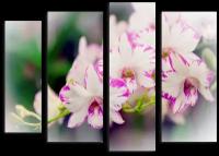 Модульная картина Орхидея нежная 101х70 см