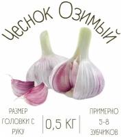 Чеснок Озимый 0.5 кг