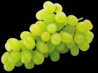 Виноград зеленый вес