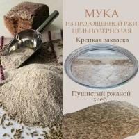 Мука из пророщенной ржи, цельнозерновая, ПикАктив, 1 кг