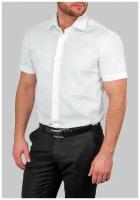 Рубашка мужская короткий рукав GREG Белый 100/109/WHITE/ZV
