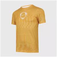 Футболка игровая Nike Academy Top CZ0976-700