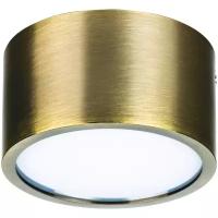 Накладной светильник Lightstar Zolla 211911, LED, 10Вт, кол-во ламп:1шт., Бронза