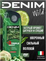 DENIM WILD Гель для душа 250 мл