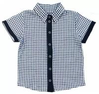 Рубашка АЛИСА, размер 86, черный, синий