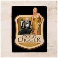 Металлическая табличка Gold digger, металл, 20х30 см