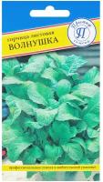 Горчица листовая Волнушка. Семена. Холодостойкое, скороспелое растение. Салатный сорт с сочной зеленью и пряным вкусом