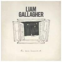 Liam Gallagher - All You're Dreaming Of. (7