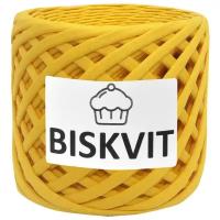 Трикотажная пряжа Biskvit Дыня