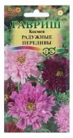 Семена Гавриш Космея махровая Радужные переливы 0,1 г, 10 уп